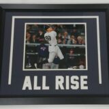 Aaron Judge “All Rise” Photo Display