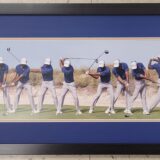 Tiger Woods Swing Sequence Photo Display