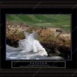 Passion Framed Motivational Print