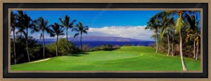Wailea Emerald Course in Maui, HI Framed Photo