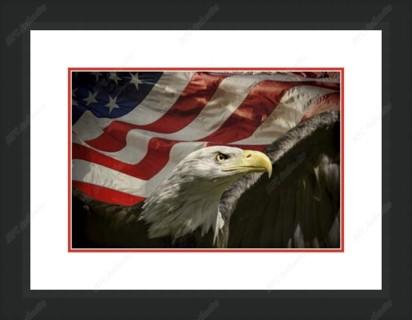 American Eagle Framed Print