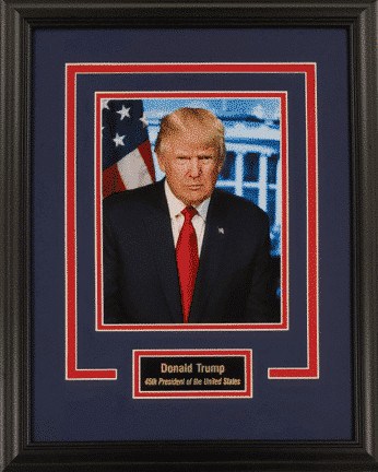 Donald Trump 8x10 Photo Display