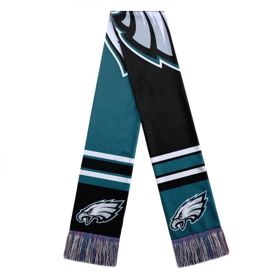 Philadelphia Eagles Color Block Big Logo Scarf