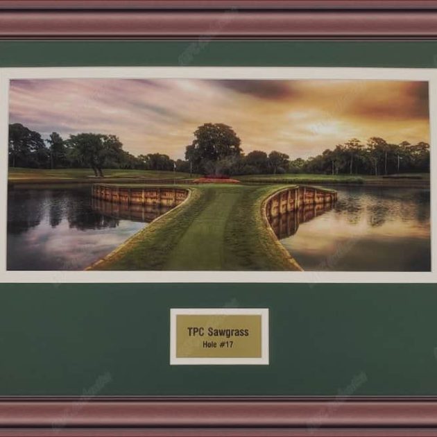 TPC Sawgrass #17 Framed Photo Display